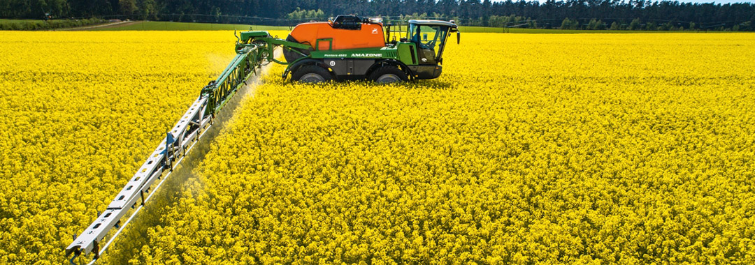 pantera4503_1