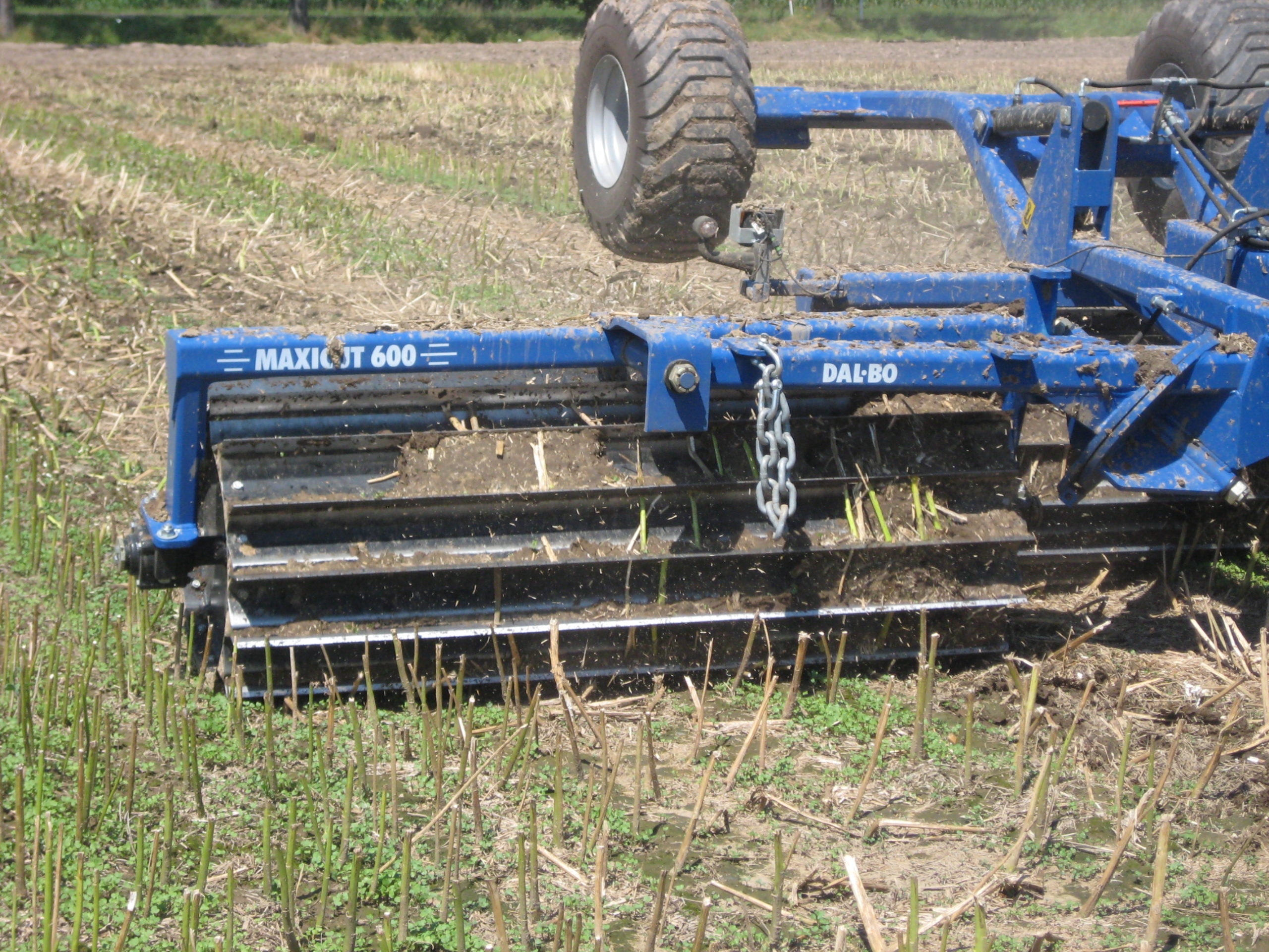 maxicut2