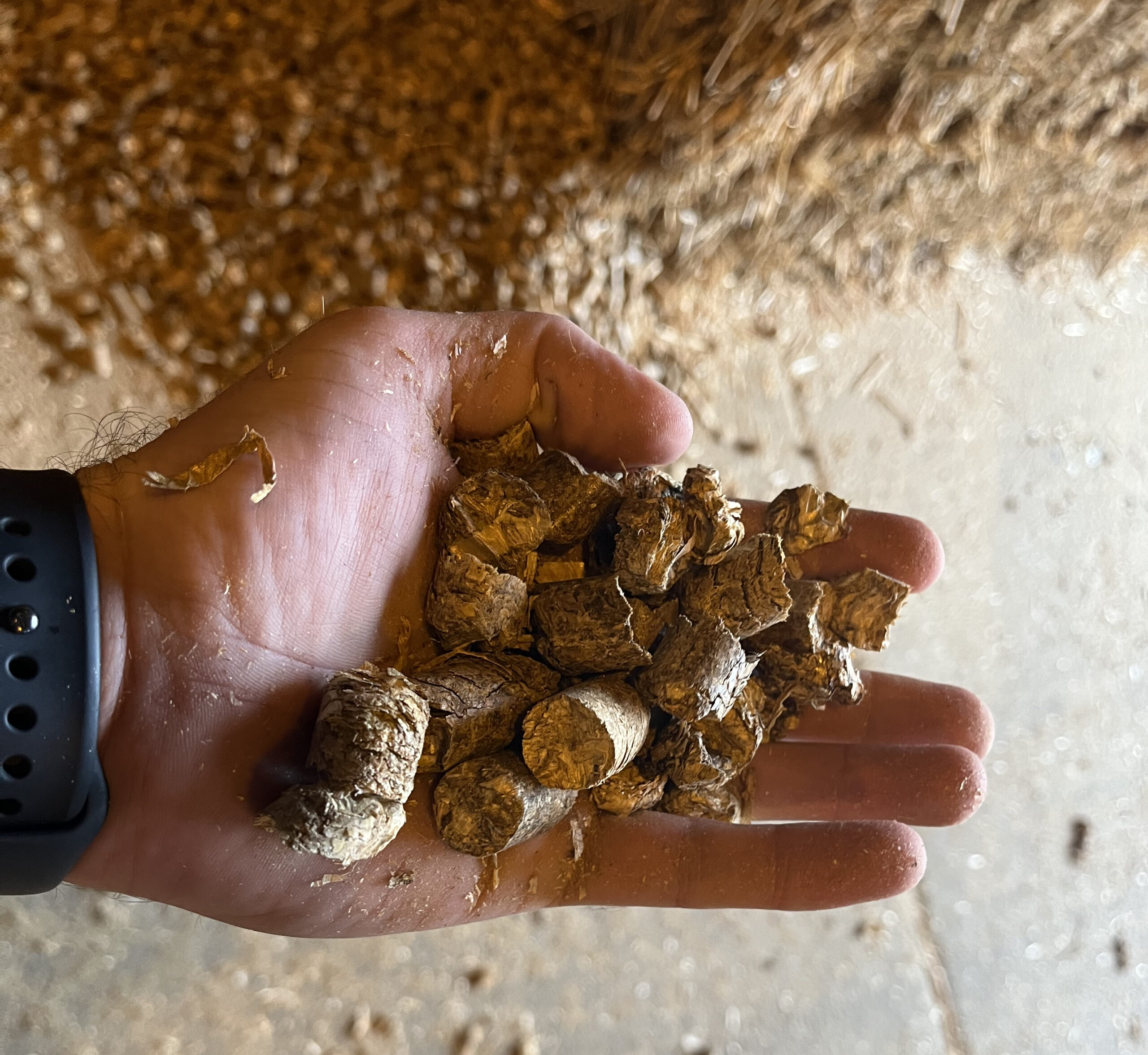 pellets_ Krone Pressar Bellima